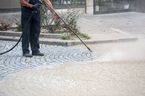 Best House Exterior Washing  in Fyffe, AL
