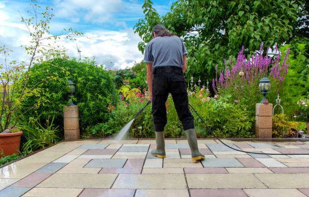 Best Fence Cleaning  in Fyffe, AL
